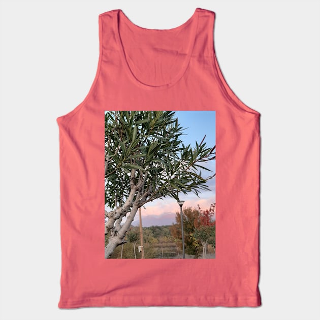 Sunset in a park Tank Top by Stephfuccio.com